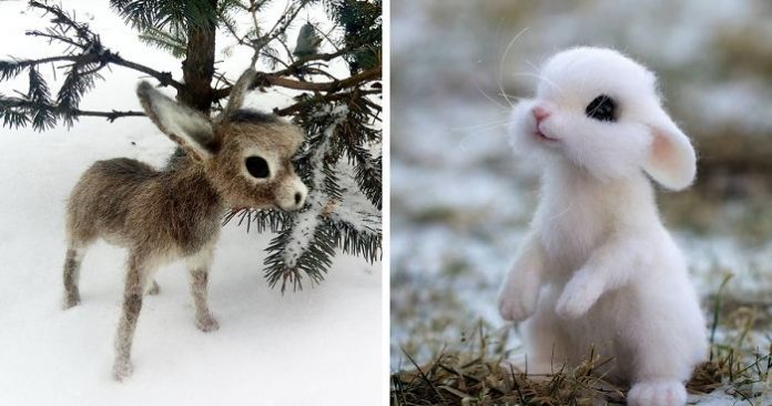 Artista russa cria animais de lã que farão doer o seu coração com tanta fofura