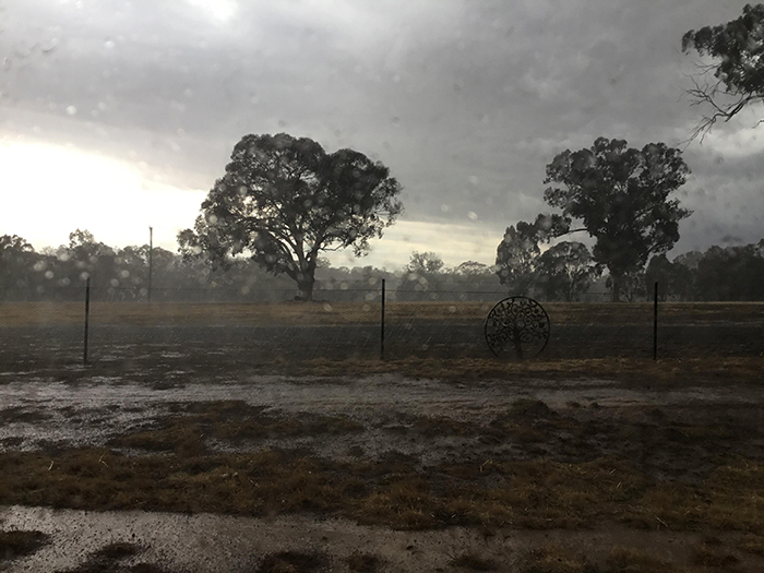 revistapazes.com - Finalmente chove na Austrália, apagando mais de 30 incêndios mortais