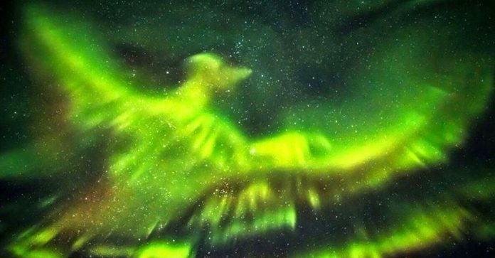 Fotógrafo islandês captura uma majestosa “fênix” na aurora boreal, abrindo suas asas no universo