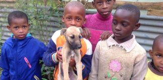 Cinco pequenas crianças salvam sozinhas um cachorro abandonado em rua movimentada