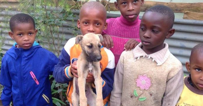 Cinco pequenas crianças salvam sozinhas um cachorro abandonado em rua movimentada
