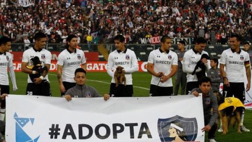 revistapazes.com - Time de futebol entrou em campo com filhotes abandonados para adoção