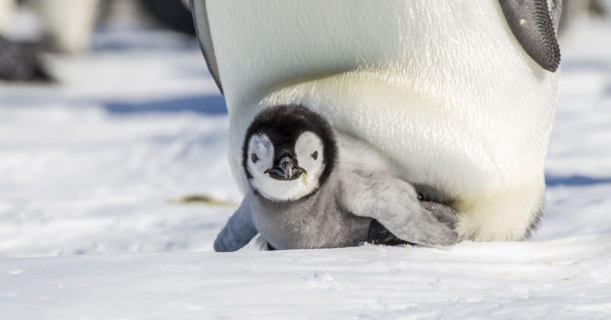 shutterstock_642012862 (1)