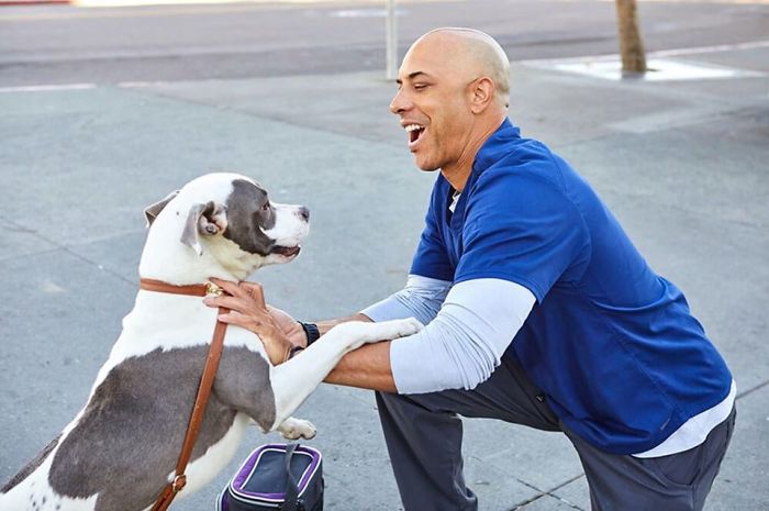 revistapazes.com - Este homem é um veterinário que anda pela Califórnia e trata os animais de rua gratuitamente