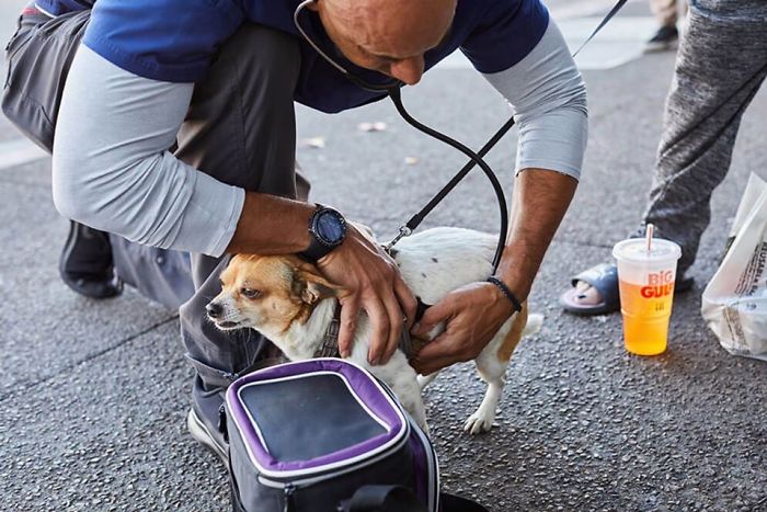 revistapazes.com - Este homem é um veterinário que anda pela Califórnia e trata os animais de rua gratuitamente