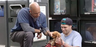 Este homem é um veterinário que anda pela Califórnia e trata os animais de rua gratuitamente