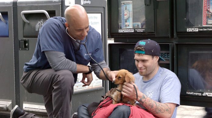 Este homem é um veterinário que anda pela Califórnia e trata os animais de rua gratuitamente