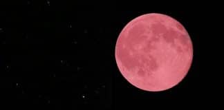 Você está preparado para  a super lua rosa de hoje?