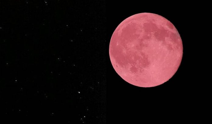 Você está preparado para  a super lua rosa de hoje?