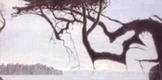 Você consegue encontrar o bebê na foto? Menos 25% consegue encontrá-lo sozinho