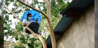 Sem internet em casa, estudante sobe em árvore para captar o sinal e assistir aulas on-line