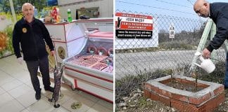 Açougueiro perde sua “melhor cliente”, a enterra em seu jardim e colocou uma réplica de papelão no lugar em que ela pedia comida