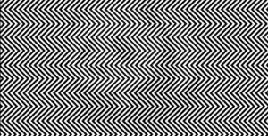 Apenas 1% das pessoas podem encontrar o animal nesta foto. Você consegue? revistapazes.com - Apenas 1% das pessoas podem encontrar o animal nesta foto. Você consegue?