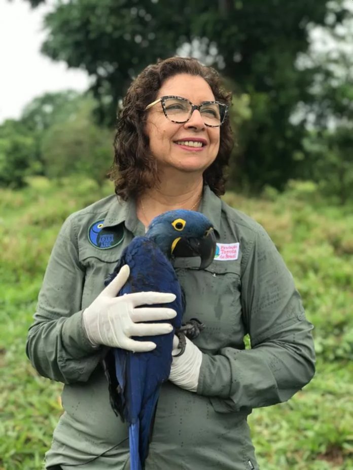 revistapazes.com - Neiva Guedes, bióloga que salvou a Arara Azul da extinção, concorre ao prêmio "Faz Diferença"