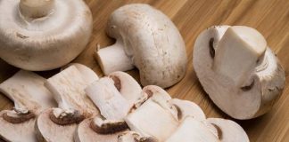 “Cogumelos, a comida de ouro”: eles cuidam do cérebro e evitam demência senil, afirmam pesquisadores