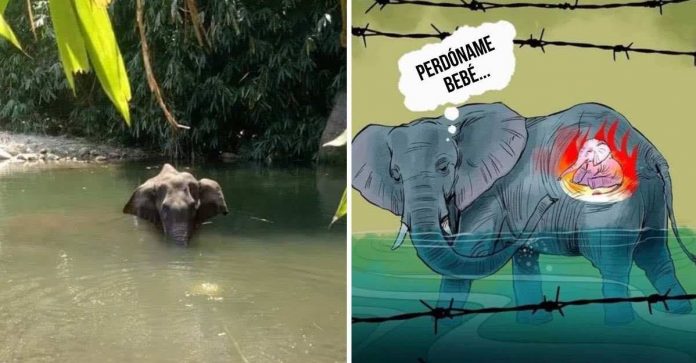Elefanta grávida morre após ingerir um abacaxi cheio de explosivos, na Índia. Agora artistas prestam homenagem
