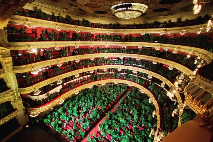 revistapazes.com - Ópera de Barcelona reabre com concerto para plantas. Sim, você entendeu bem: para plantas