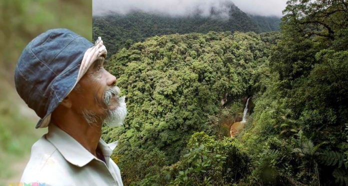 Um avô de 68 anos plantou cerca de 11.000 árvores para trazer água de volta para a floresta