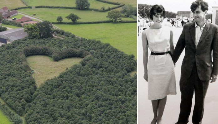 Viúvo planta uma floresta em forma de coração para homenagear a esposa falecida