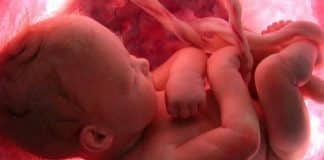 “Aspiral”: um poema de Mia Couto que nos fala de infinitos