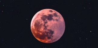 Você está pronto para a “Lua de Morango” e o eclipse lunar que acontecerão hoje? Entenda