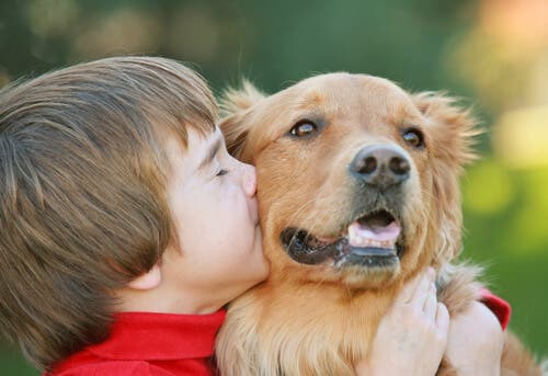 revistapazes.com - Os cães sentem emoções comparáveis ​​às de uma criança
