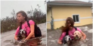 Jovem se agarra aos seus cachorros ao fugir de um furacão: como deixá-los  para trás?