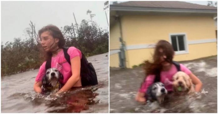Jovem se agarra aos seus cachorros ao fugir de um furacão: como deixá-los  para trás?
