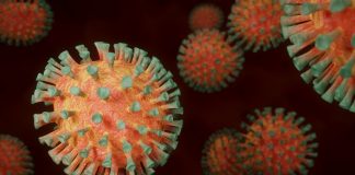 Coronavírus:  cientistas anunciam sucesso em testes com humanos para vacina