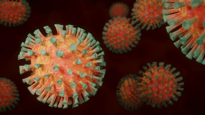 Coronavírus:  cientistas anunciam sucesso em testes com humanos para vacina