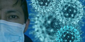 Imunidade à covid-19 pode ser maior na população do que indicam os testes, diz estudo