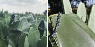 O primeiro tecido vegetal semelhante à pele, feito com lâminas de pera espinhosa, por esses dois jovens mexicanos