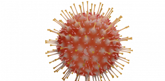 Brasil participa de consórcio mundial para combate à covid-19