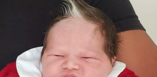 Bebê nasce com mecha de cabelo branco, em Belo Horizonte, e ganha holofote nas redes  sociais
