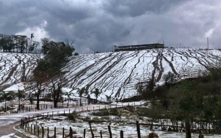 revistapazes.com - Plantações em Minas  ficam cobertas de gelo: as Gerais com cara de Europa