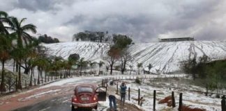Plantações em Minas  ficam cobertas de gelo: as Gerais com cara de Europa