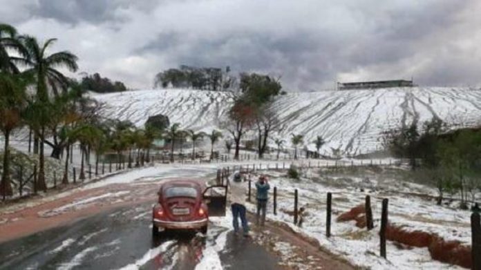 Plantações em Minas  ficam cobertas de gelo: as Gerais com cara de Europa