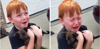 A reação deste garoto ao ganhar um cachorrinho vai tocar o seu coração