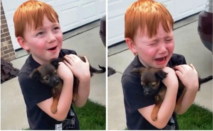 A reação deste garoto ao ganhar um cachorrinho vai tocar o seu coração