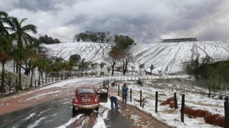 revistapazes.com - Plantações em Minas  ficam cobertas de gelo: as Gerais com cara de Europa