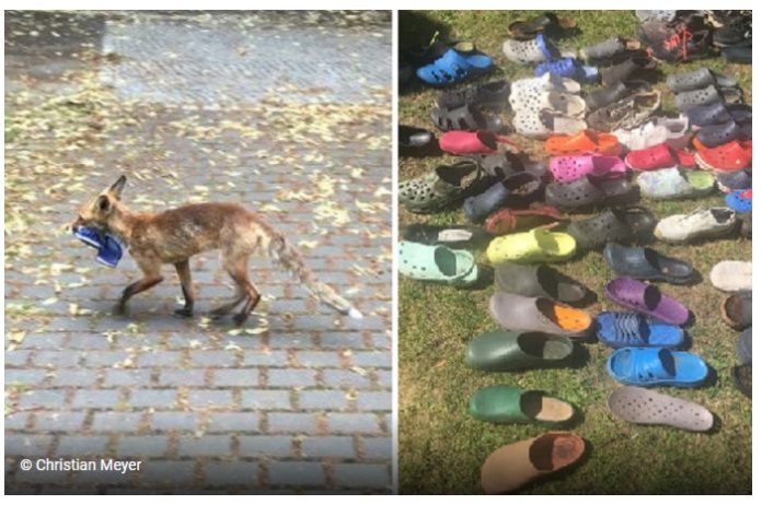 Calçados são furtados na noite de Berlin e a ladra ganha o coração da internet