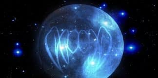 “A fonte da imortalidade”, por Ricardo Pecego