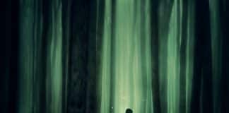 “Epifania”, um sopro e luz e poesia de Maria Rosa Bugarin