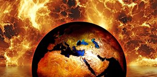 “Vivemos uma emergência climática”, declaram oficialmente mais de 11 mil cientistas