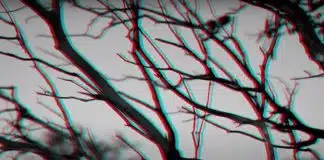 Uma obra prima manchada de sangue, poema de Aline Monteiro.