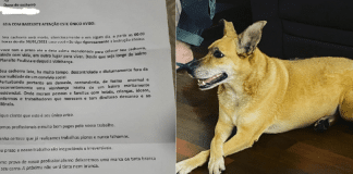 Família recebe carta anônima com horário e data para o assassinato de sua cadela