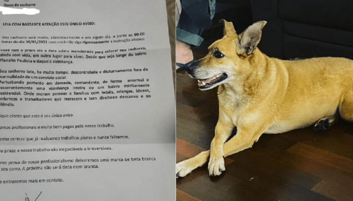 Família recebe carta anônima com horário e data para o assassinato de sua cadela