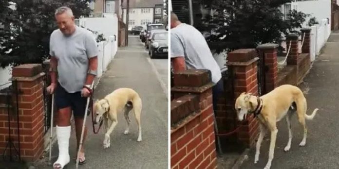 Homem ferido paga 400 dólares por atendimento do seu cachorro que mancava e descobre que ele só o imitava