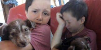 Com apenas 7 anos, ele salvou um filhote das mãos de outras crianças que queriam matá-lo