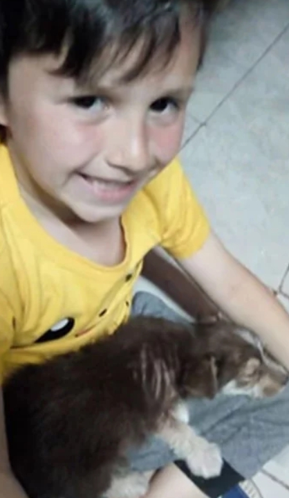 revistapazes.com - Com apenas 7 anos, ele salvou um filhote das mãos de outras crianças que queriam matá-lo